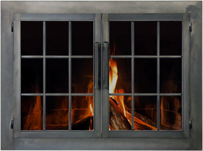 wood burning fireplace glass doors